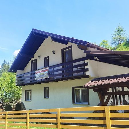 מלון בורסא Casa Pietrosu Rodnei מראה חיצוני תמונה