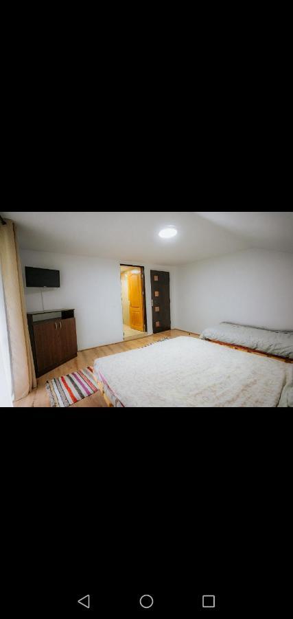מלון בורסא Casa Pietrosu Rodnei מראה חיצוני תמונה