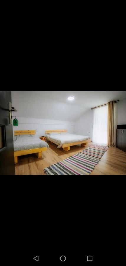מלון בורסא Casa Pietrosu Rodnei מראה חיצוני תמונה
