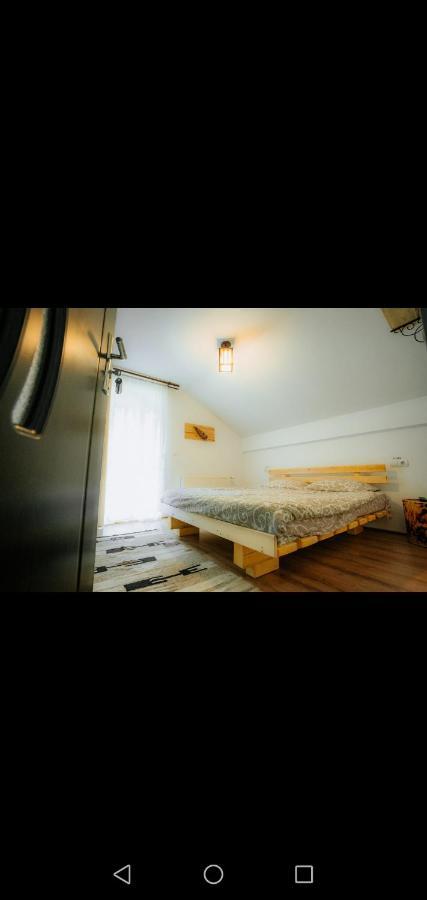 מלון בורסא Casa Pietrosu Rodnei מראה חיצוני תמונה